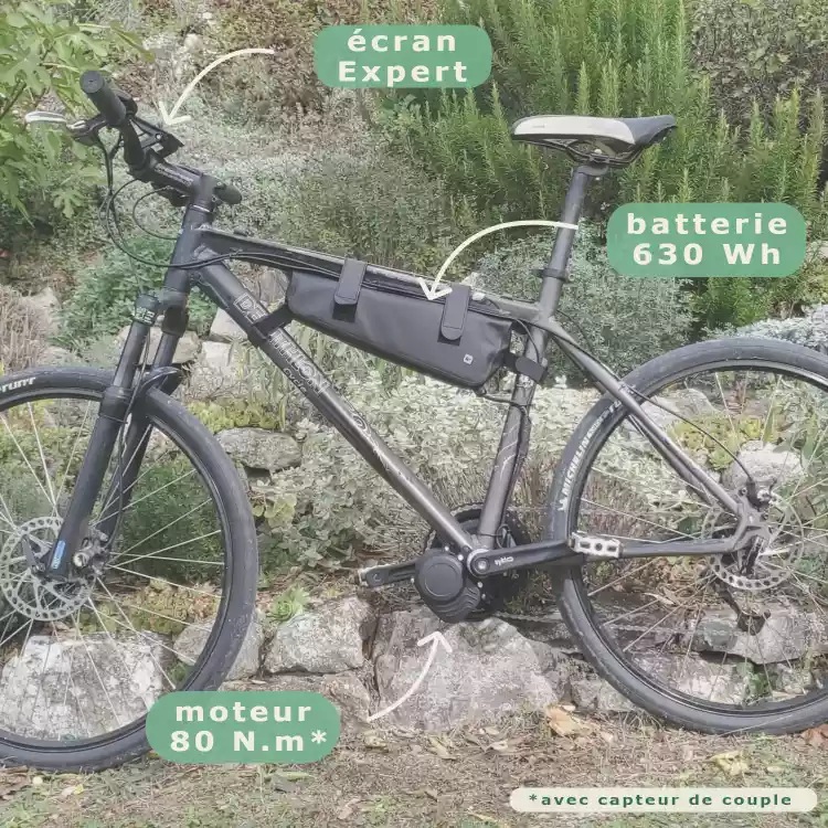 Kit complet vélo électrique performant sur roue arrière avec batterie  bouteille 36v