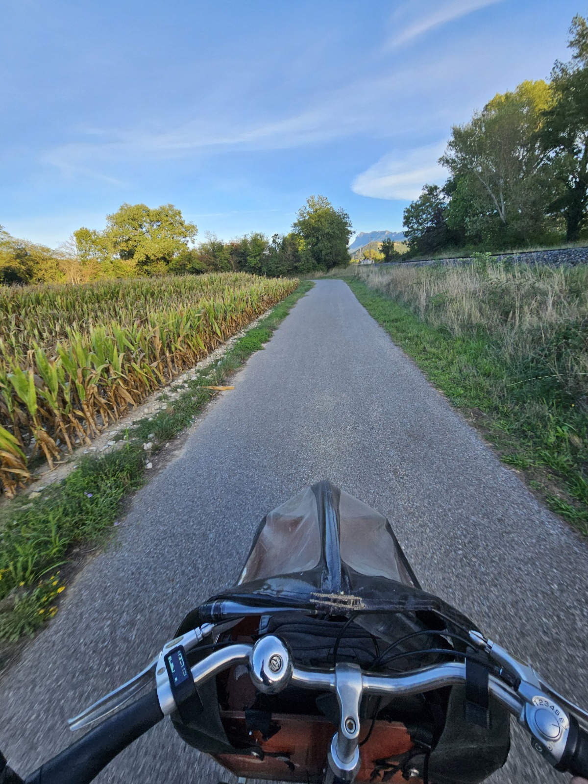 Country road seen from a bicycle