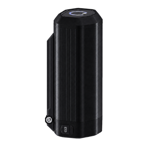 Batterie 360Wh 36V BOX10