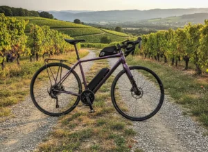 Vélo gravel électrique vert dans un jardin